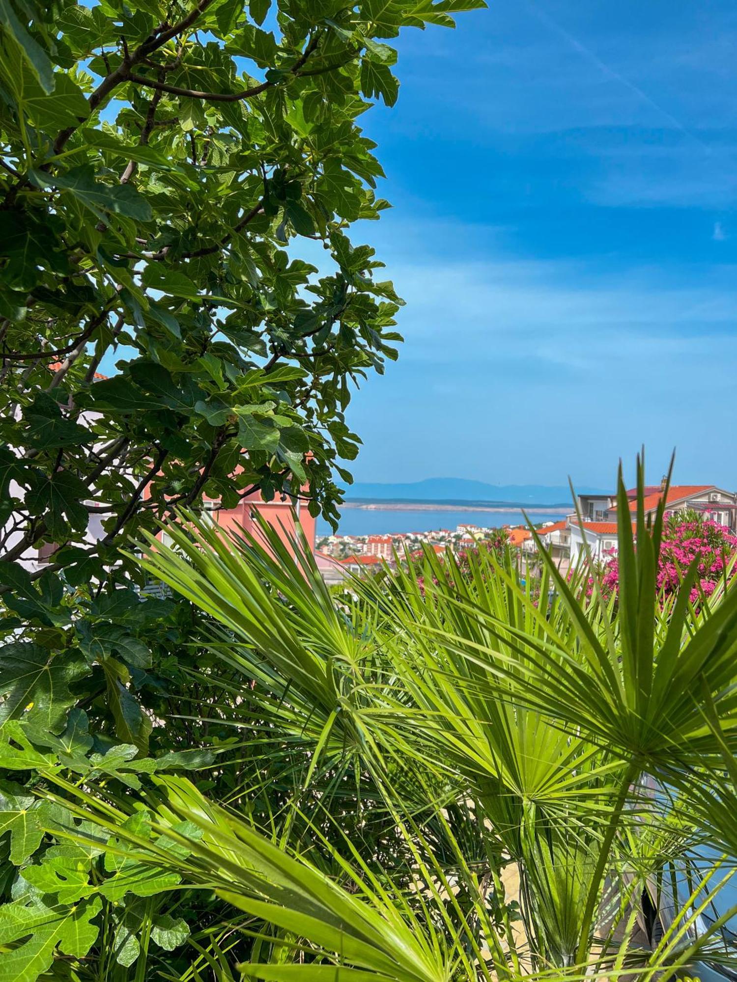 Apartments Villa Klaudia - Adults Only Цриквеница Экстерьер фото